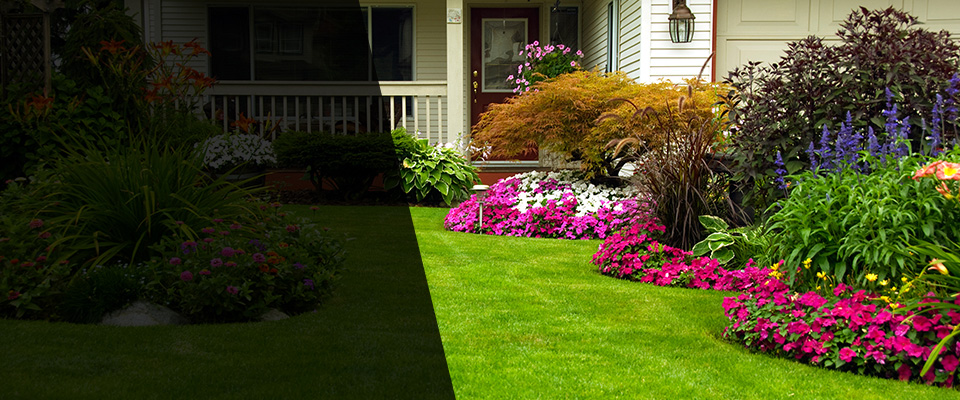 Mills River Landscapers