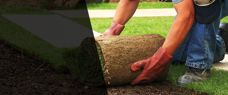 Mills River Landscapers